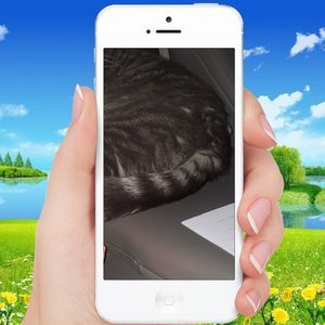 Meet your Posher, Gerardo